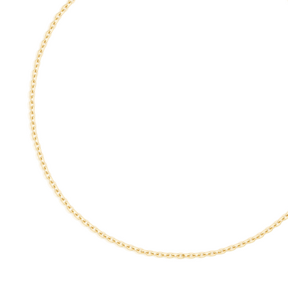 gold necklace. dainty necklace. chain necklace. 14k gold necklace. layering necklace. fine jewelry. gold jewelry