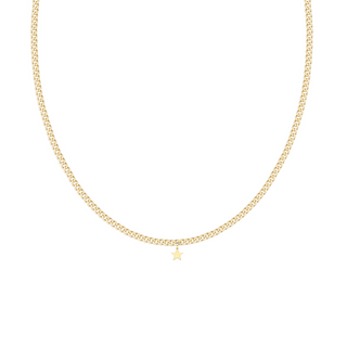 hudson necklace. permanent necklace gold necklace. fine jewelry. 14k gold necklace. dainty necklace. delicate jewelry. charm necklace.