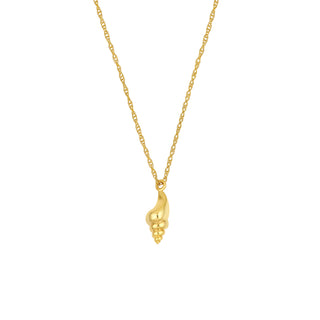 Conch Shell Pendant Necklace