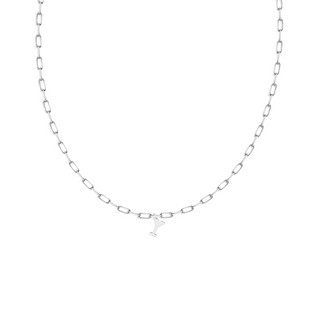 Petite Montauk Charm Necklace