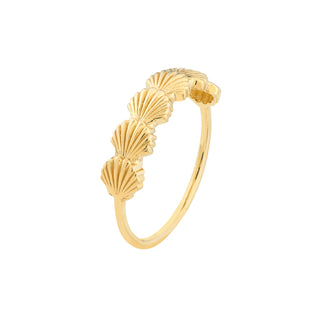 Scallop Shell Ring