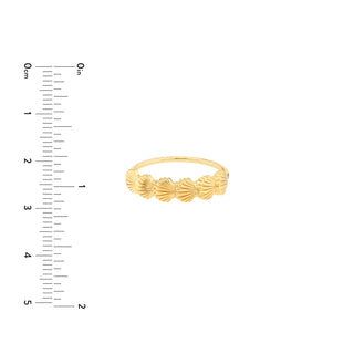 Scallop Shell Ring