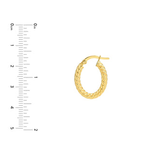 Twisted Oval Hoop Earrings