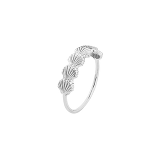 Scallop Shell Ring